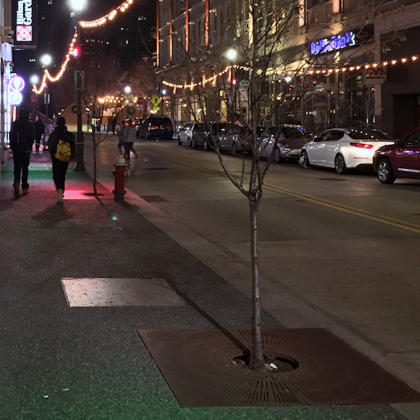 Forbes Avenue <br/>Holiday Lighting