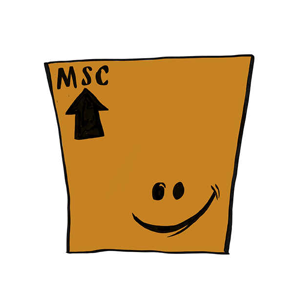  Meet MSC